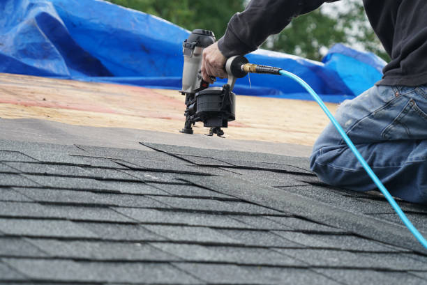 Best Storm Damage Roof Repair  in Munhall, PA